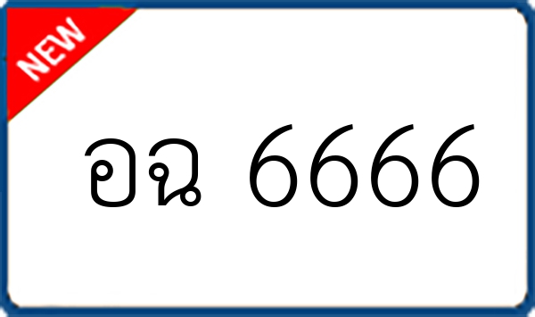 อฉ 6666